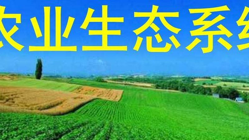 小型社区生鲜配送的绿色路径