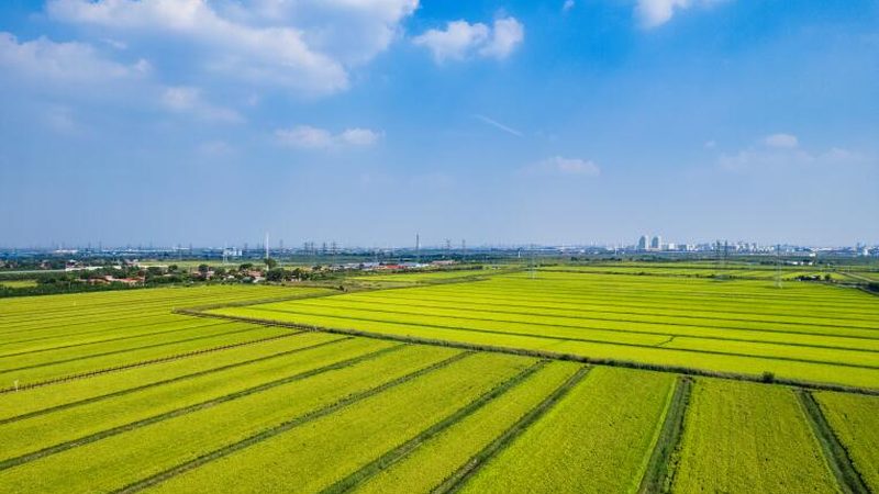 家庭农场休闲观光，如何选择合适模式？**