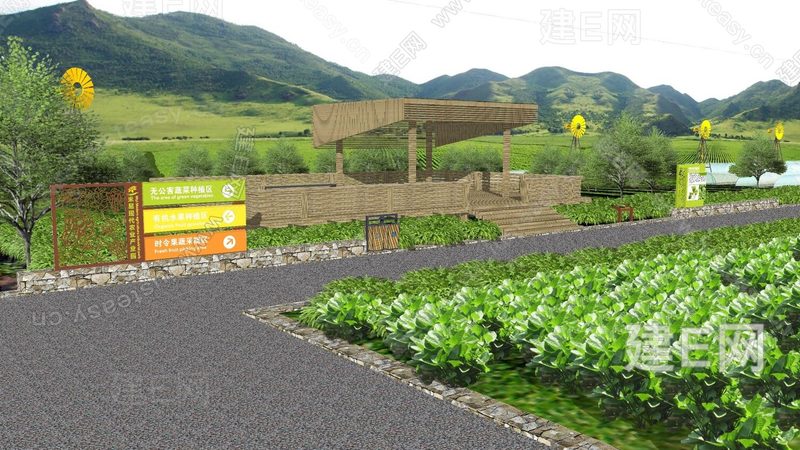 今日蔬菜价格行情：揭秘影响价格的关键因素