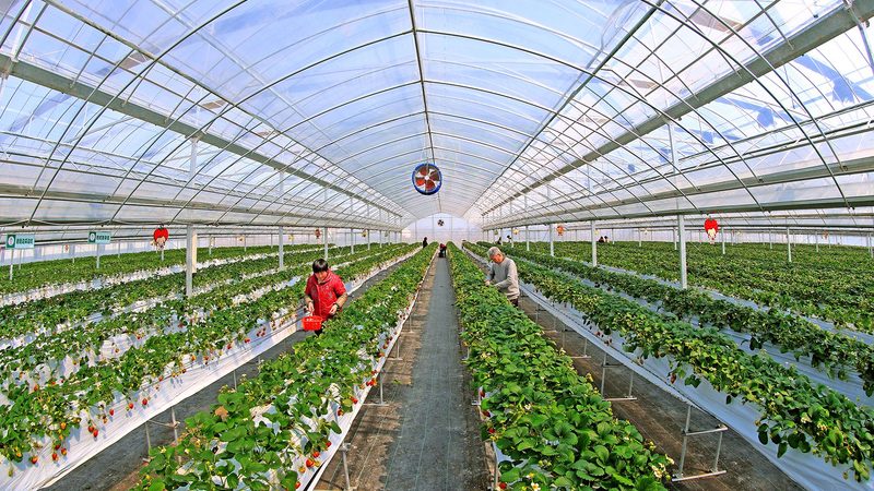 河南小型农产品深加工设备：价格背后的价值考量