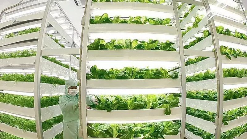 家庭农场果园管理机型号推荐