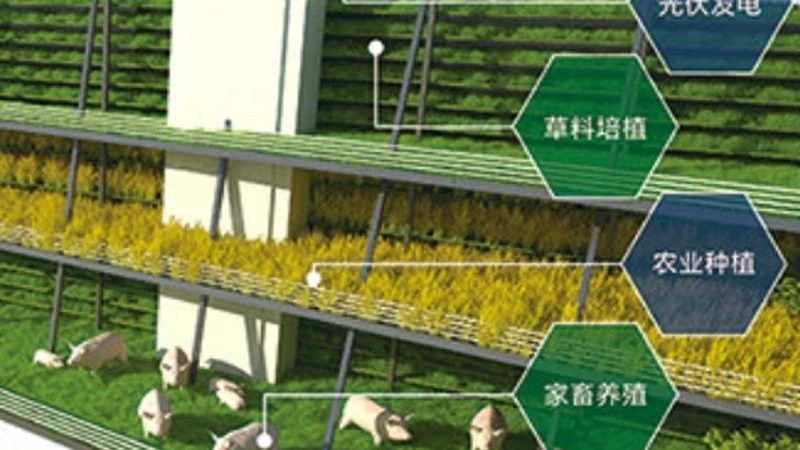 四川智慧农业项目怎么做：技术路线与实施要点