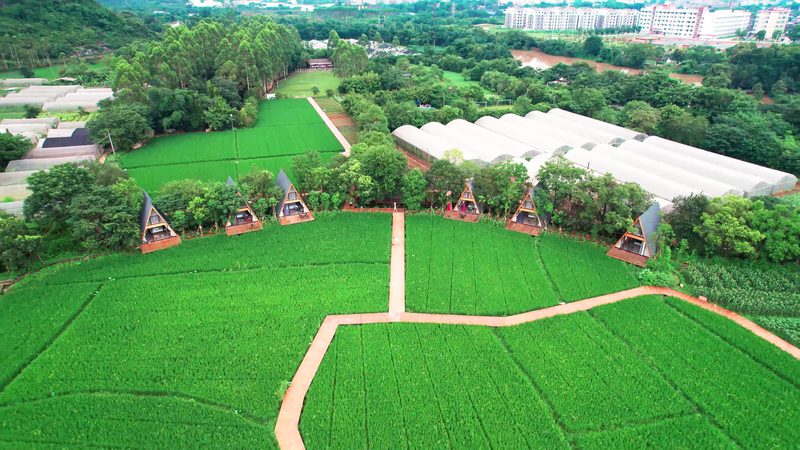 智慧农业种植系统：引领未来农业发展的十大品牌解析