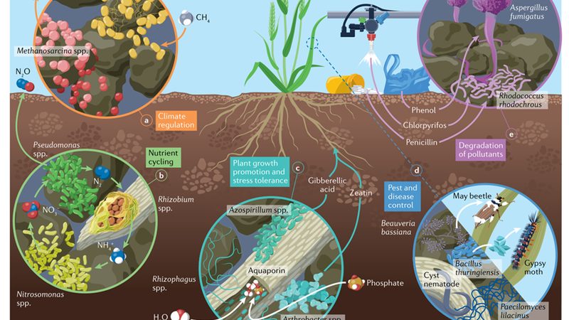 粮食种植补贴政策文件号揭秘：了解补贴背后的秘密