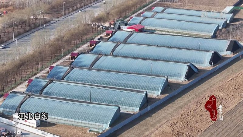 农业生态园食材批发，成本控制的关键点**