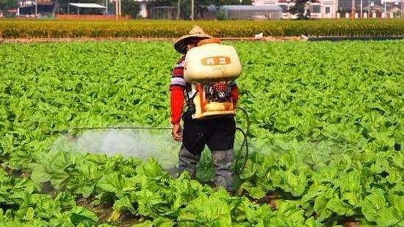 冻品农产品供应链管理的五大关键点**