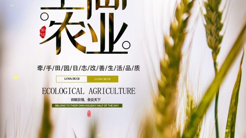 农产品供应链金融风险控制：揭秘风险点与防范策略