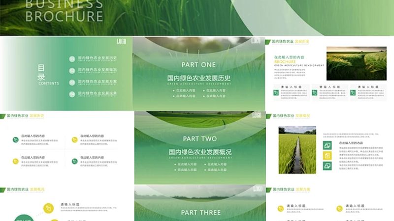 2025年粮食种植补贴政策：解读与影响
